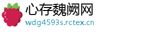 心存魏阙网
